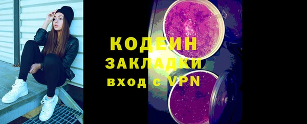 стаф Гатчина