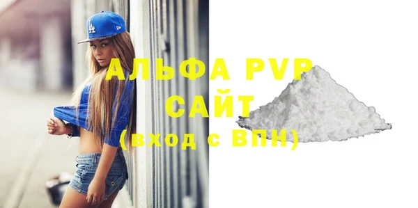 спайс Галич