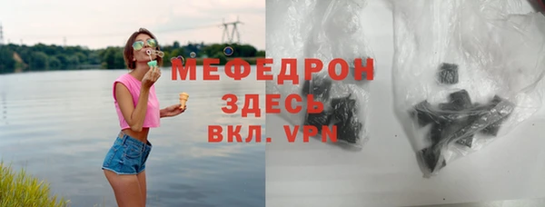 стаф Гатчина