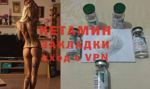 стаф Гатчина
