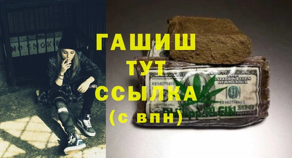 стаф Гатчина