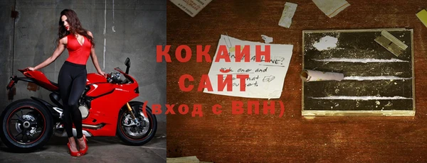 стаф Гатчина